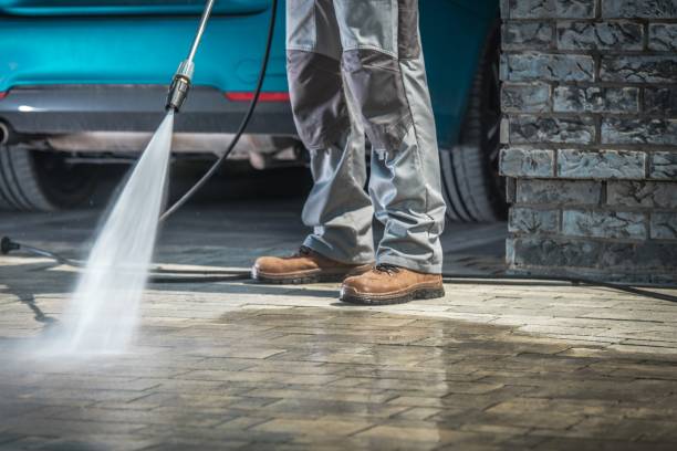 Best Winterizing Services  in South Burlington, VT
